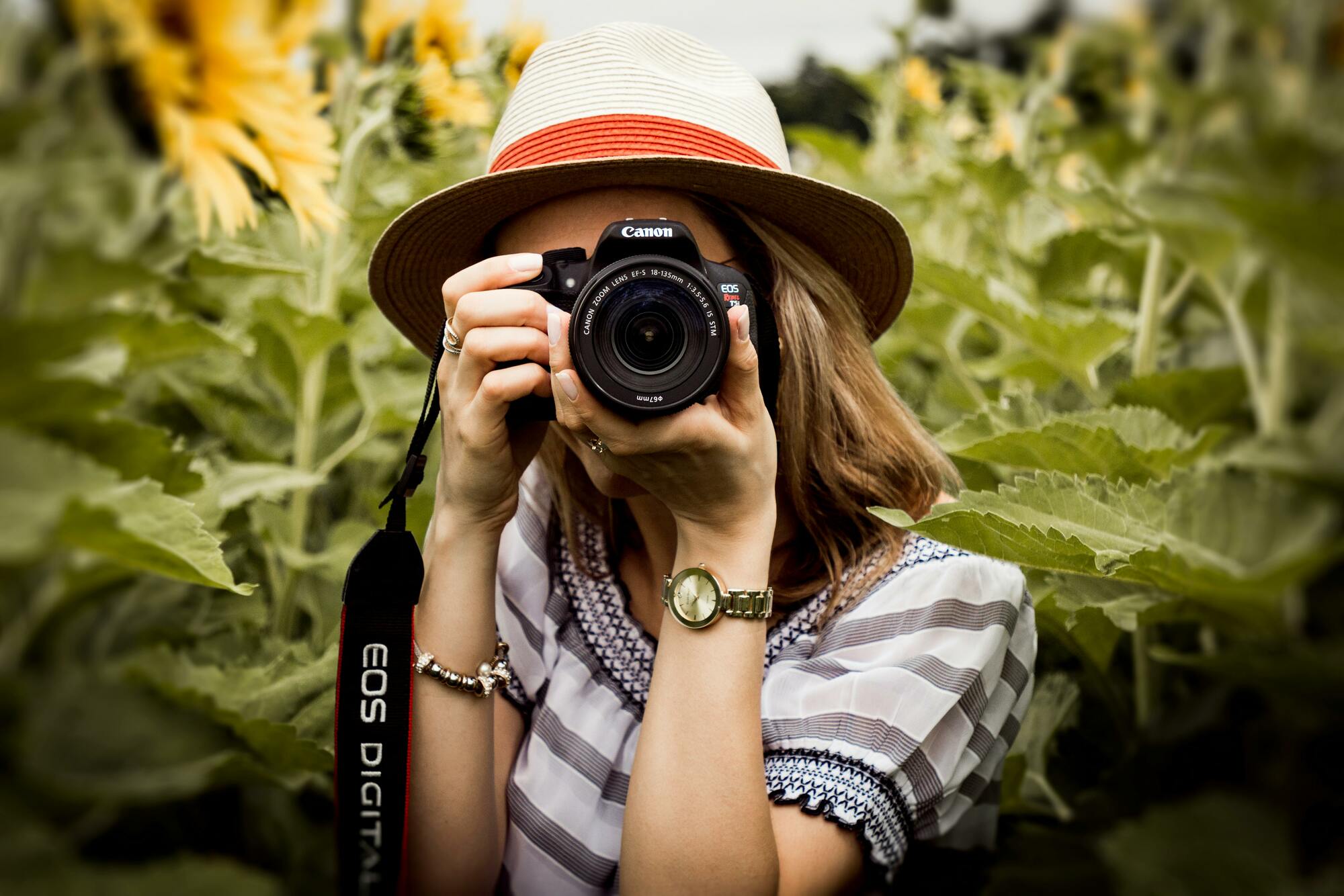A woman wearing a hat is holding a camera, with sunflowers in the background