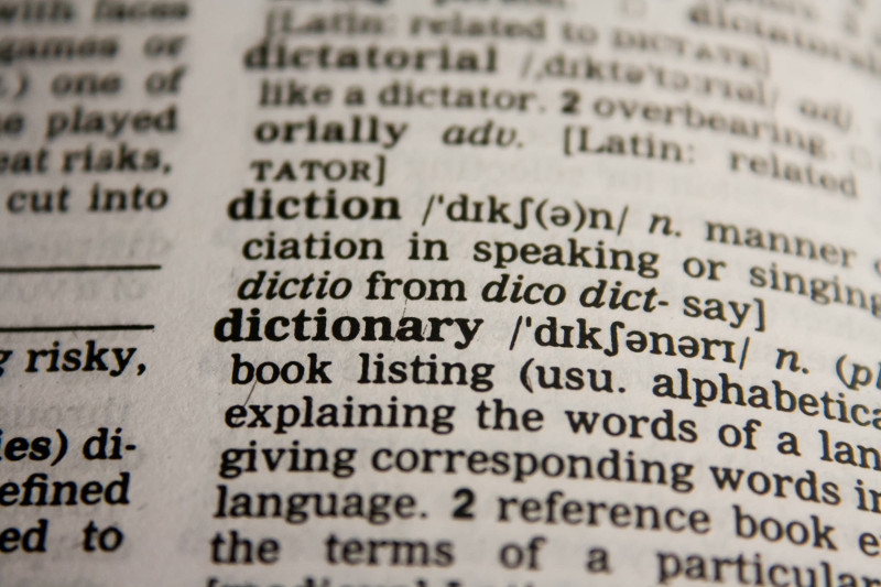 definition of the word dictionary on a dictionary page