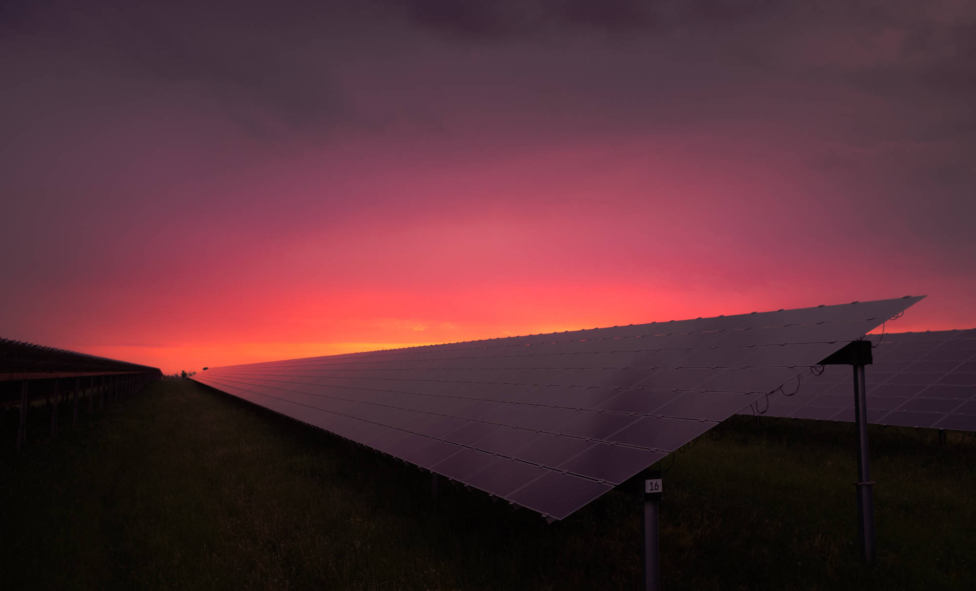 a field of solar panels against an orange-pink sky